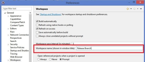 Workspace_name_preference